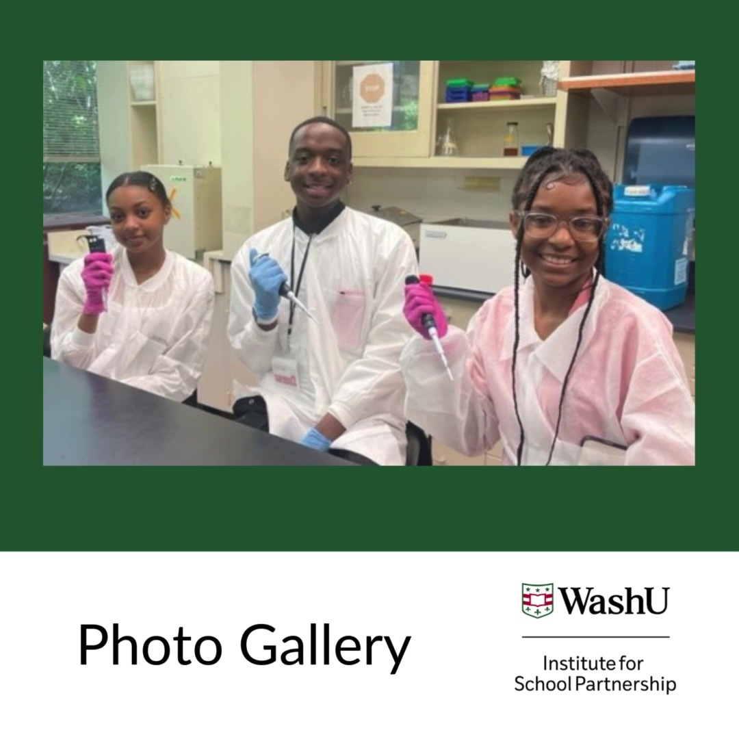 SLOW  Music ISP FALL 2024 Photo  Gallery  reel